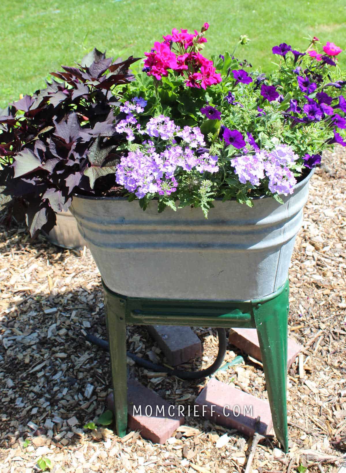 flowers in a washtub as a raised bed