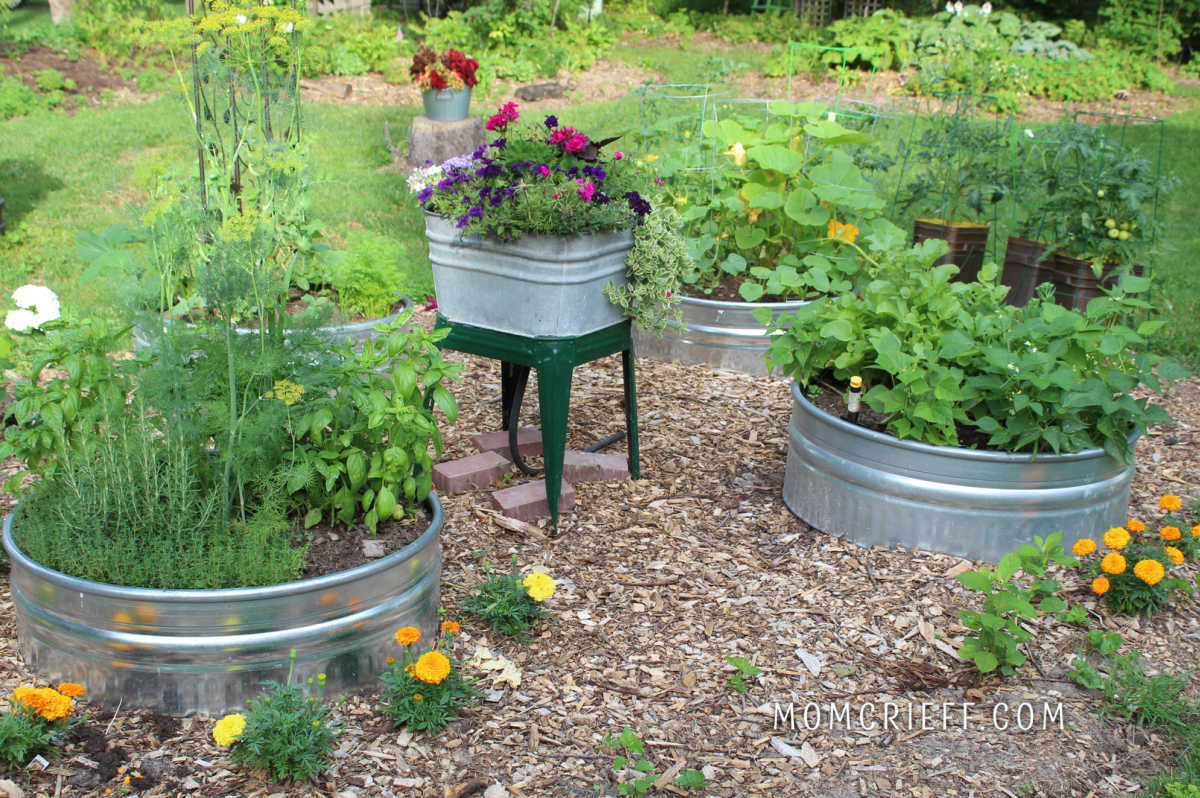 Raised Bed Vegetable Garden - Concrete Blocks Planter for Small Spaces