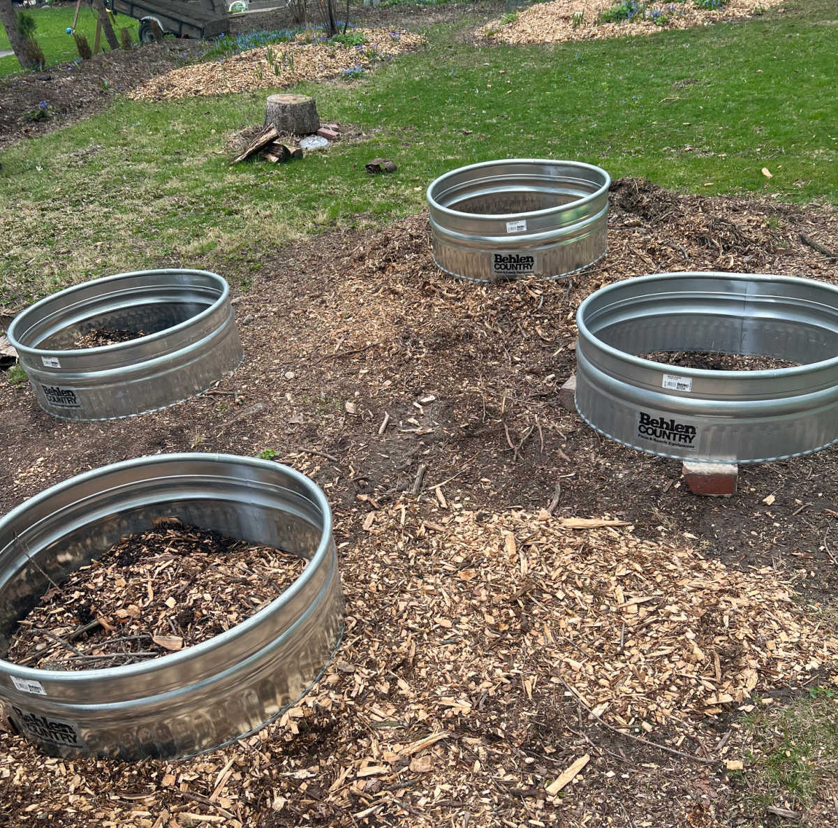 Campfire rings used for my raised garden beds