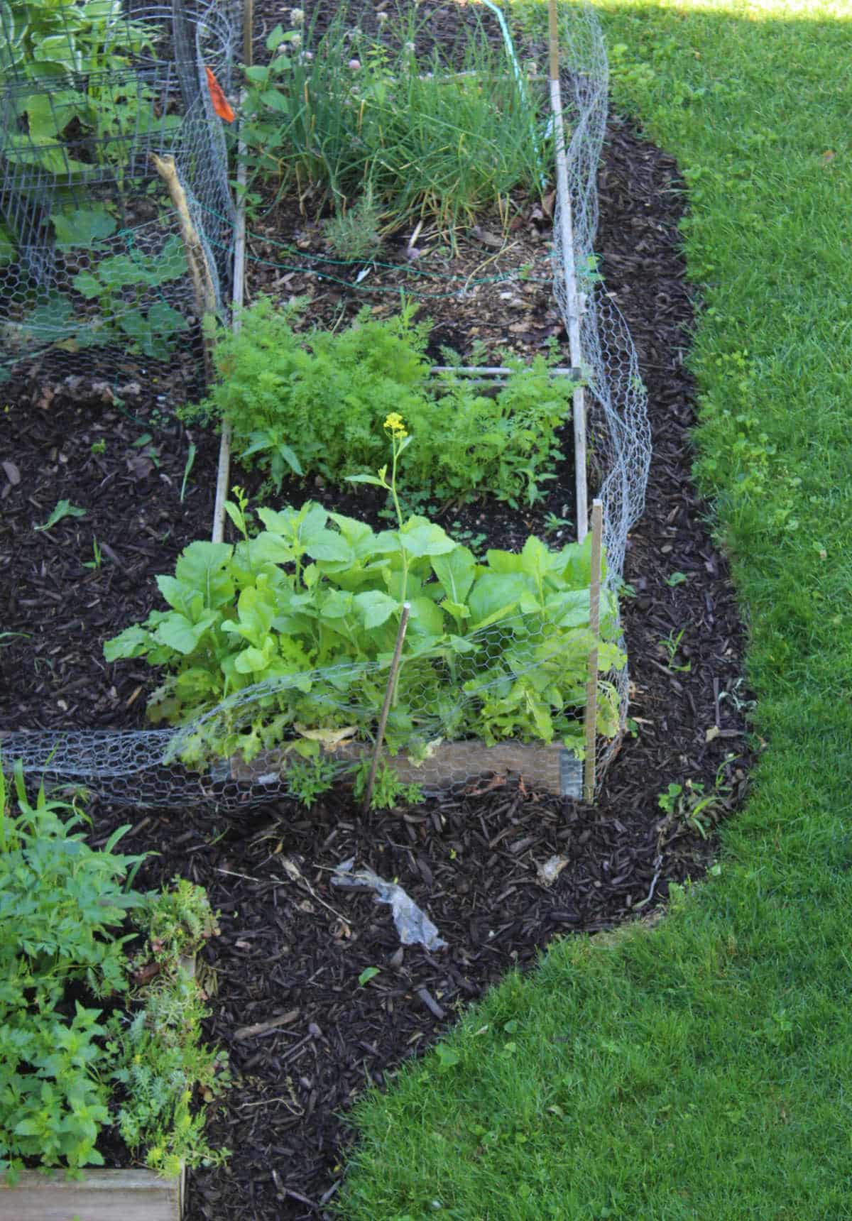 original wooden framed raised garden beds