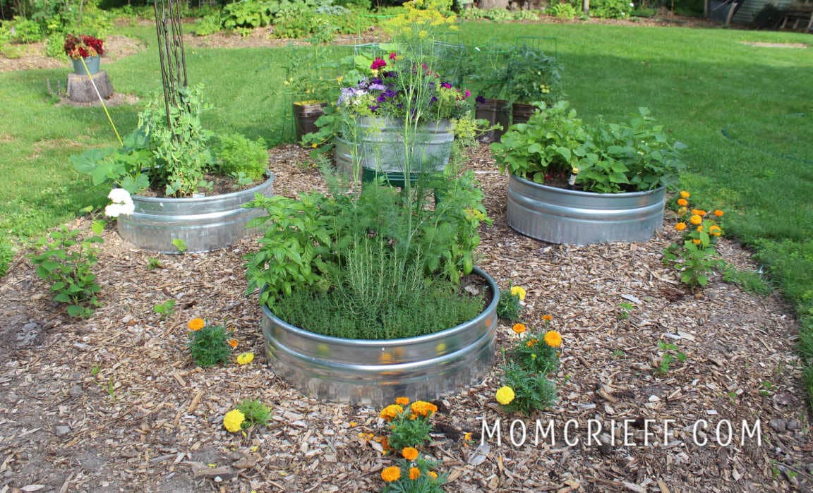 Raised bed gardens  The Bucks County Herald