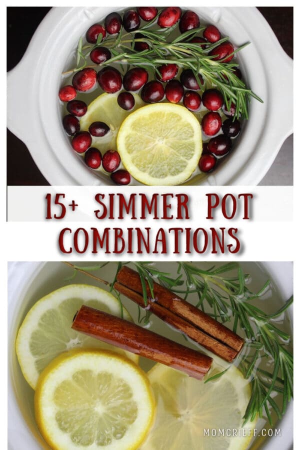 15 simmer pot recipes - Momcrieff