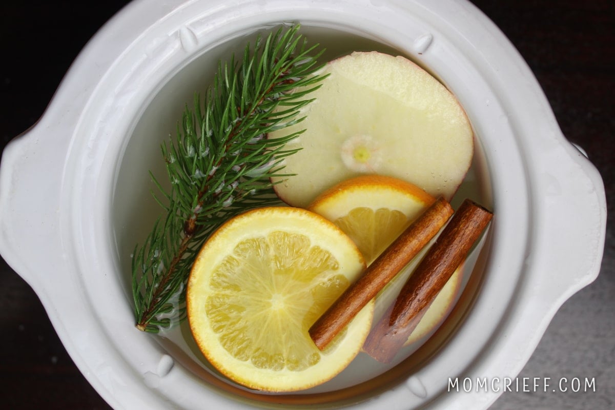 apple orange and lemon slices with a sprig of pine