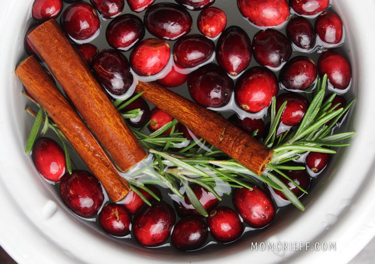 cinnamon sticks with cranberries and rosemary floating on water