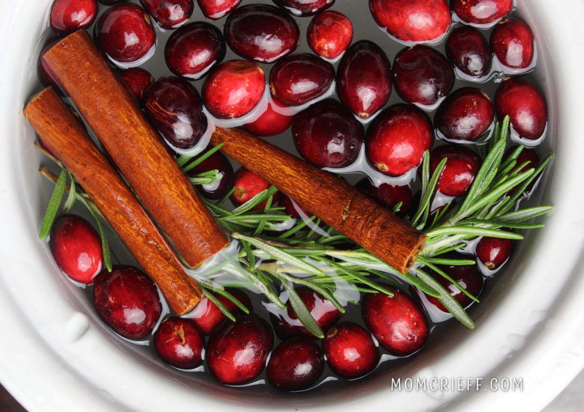 Orange and Balsam Simmering Potpourri – Mother Thyme