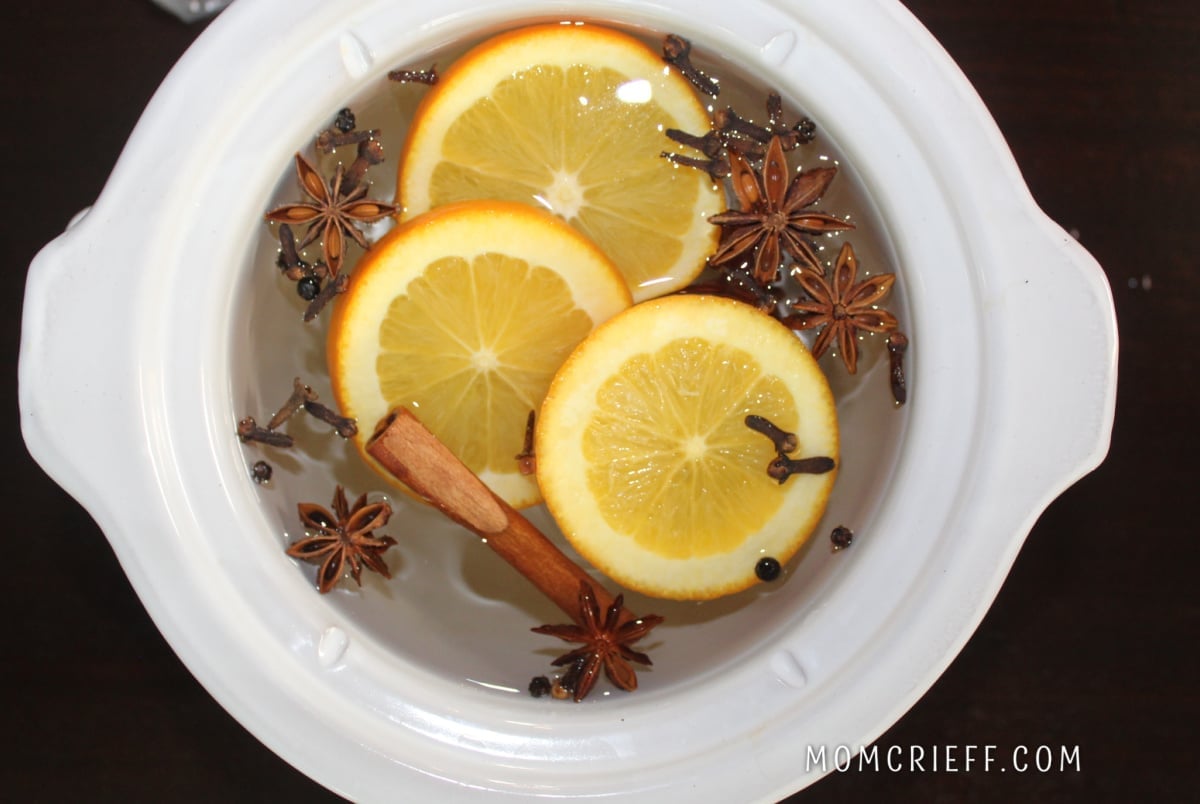 orange slices, anise flowers, whole cloves and cinnamon sticks floating on water