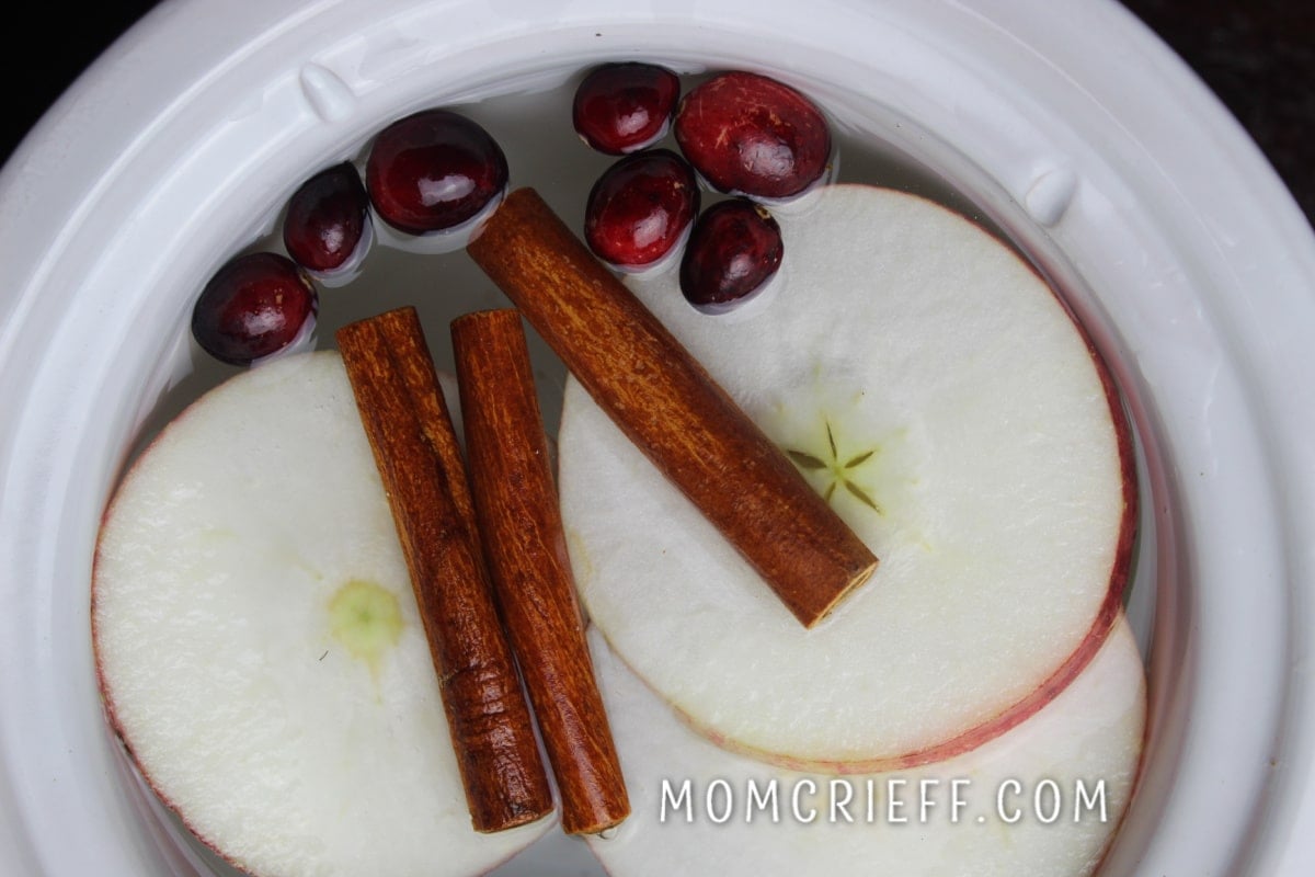 Apple slices, cinnamon & cranberries