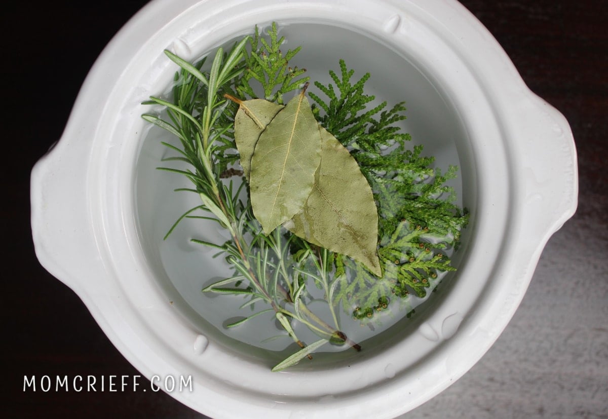 cedar, rosemary, bayleaves