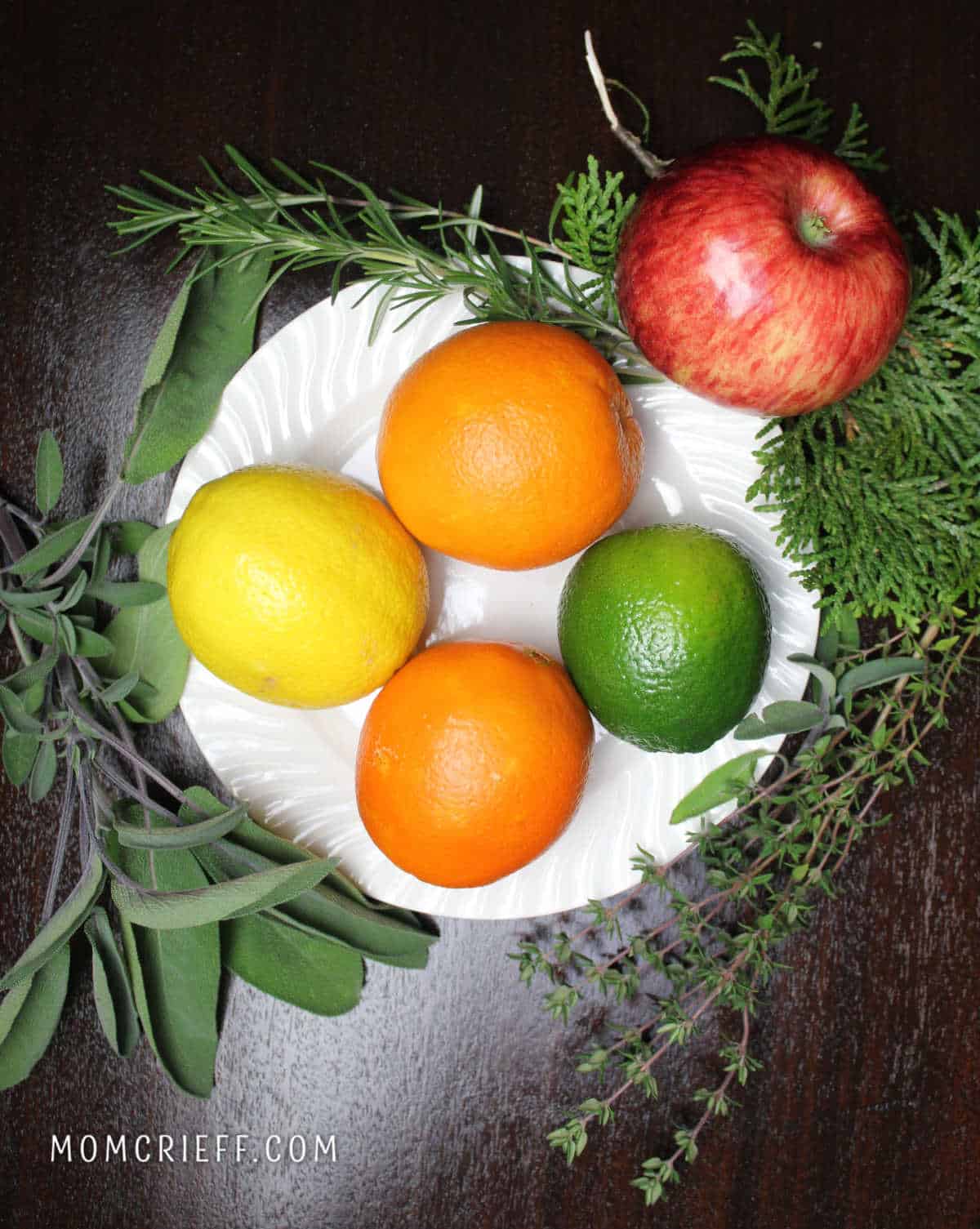 plate with oranges, a lemon, lime and an apple surrounded by green herbs