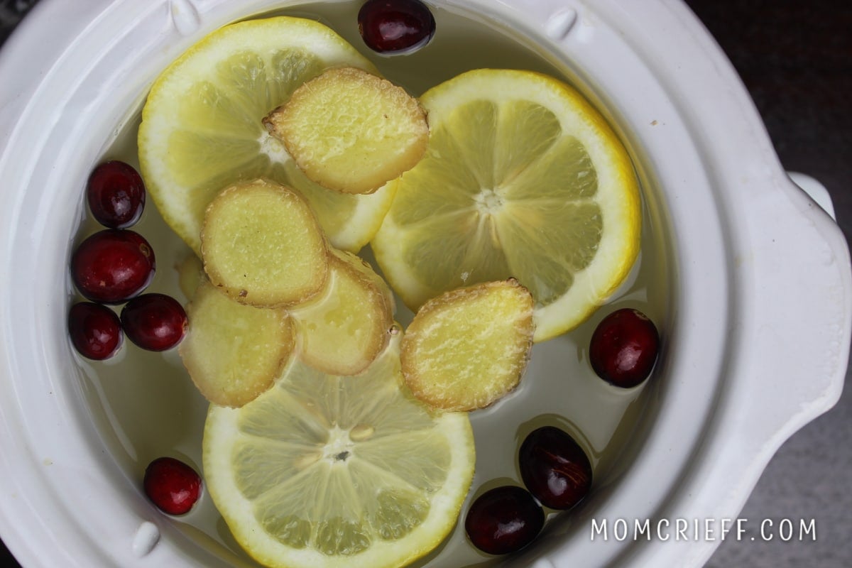 ginger and lemon slices floating on water