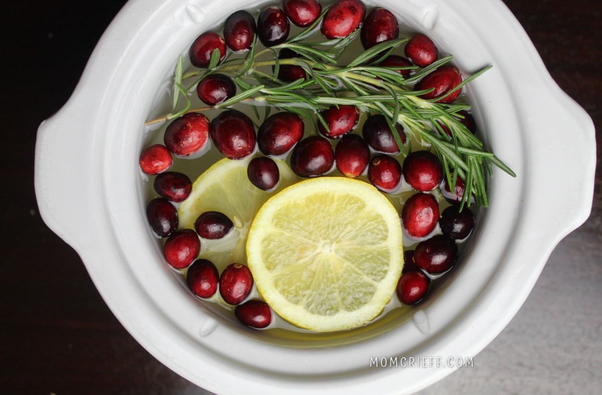 Simmer Pot Mix / Potpourri | Cinnamon, Citrus, Rosemary, and Whole Clove