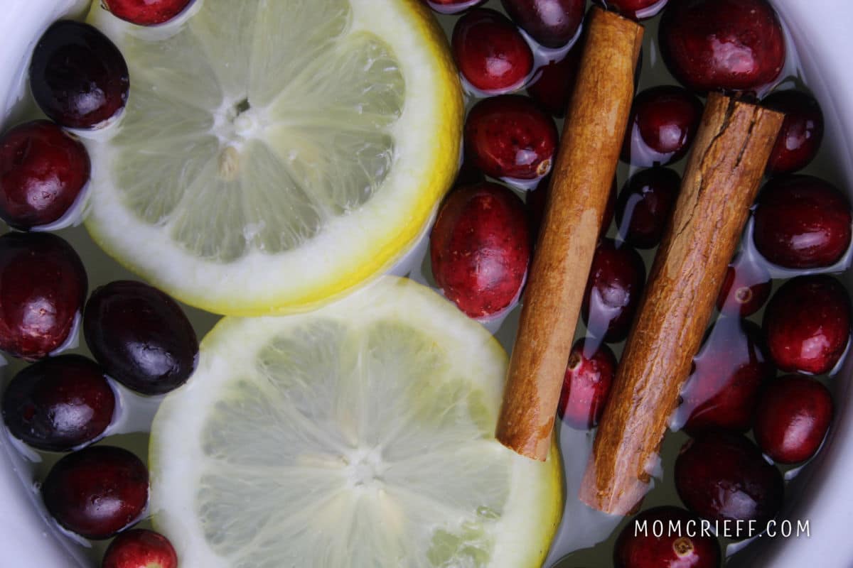 lemon, cranberry and cinnamon stick simmer pot ingredients