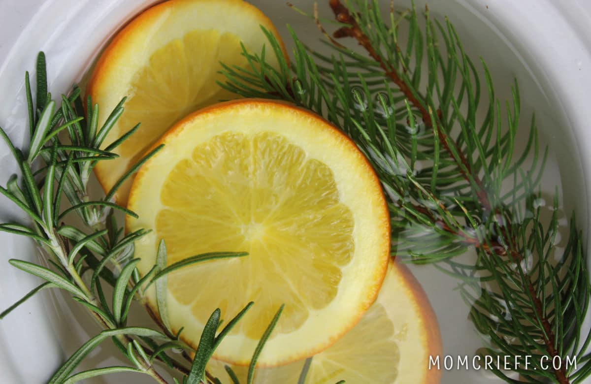 Orange slices, rosemary and pine cutting in a simmer pot