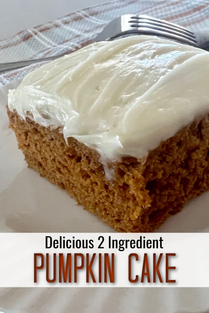 Pumpkin Cake - 2 Ingredients - Momcrieff