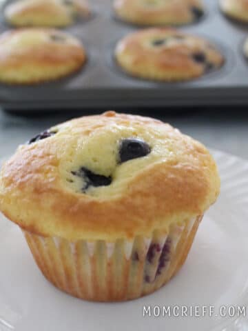 a blueberry muffin sitting in front of a muffin pan full of muffins