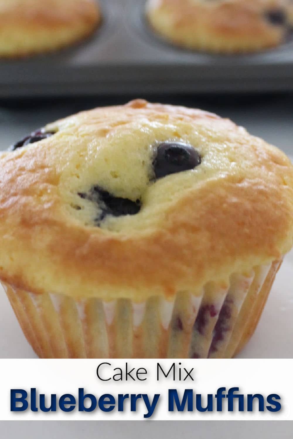 blueberry muffin close up.