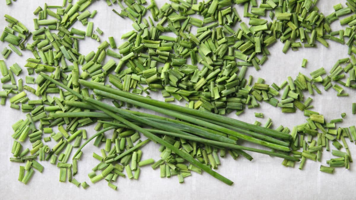 dried chive pieces beside fresh chive leaves