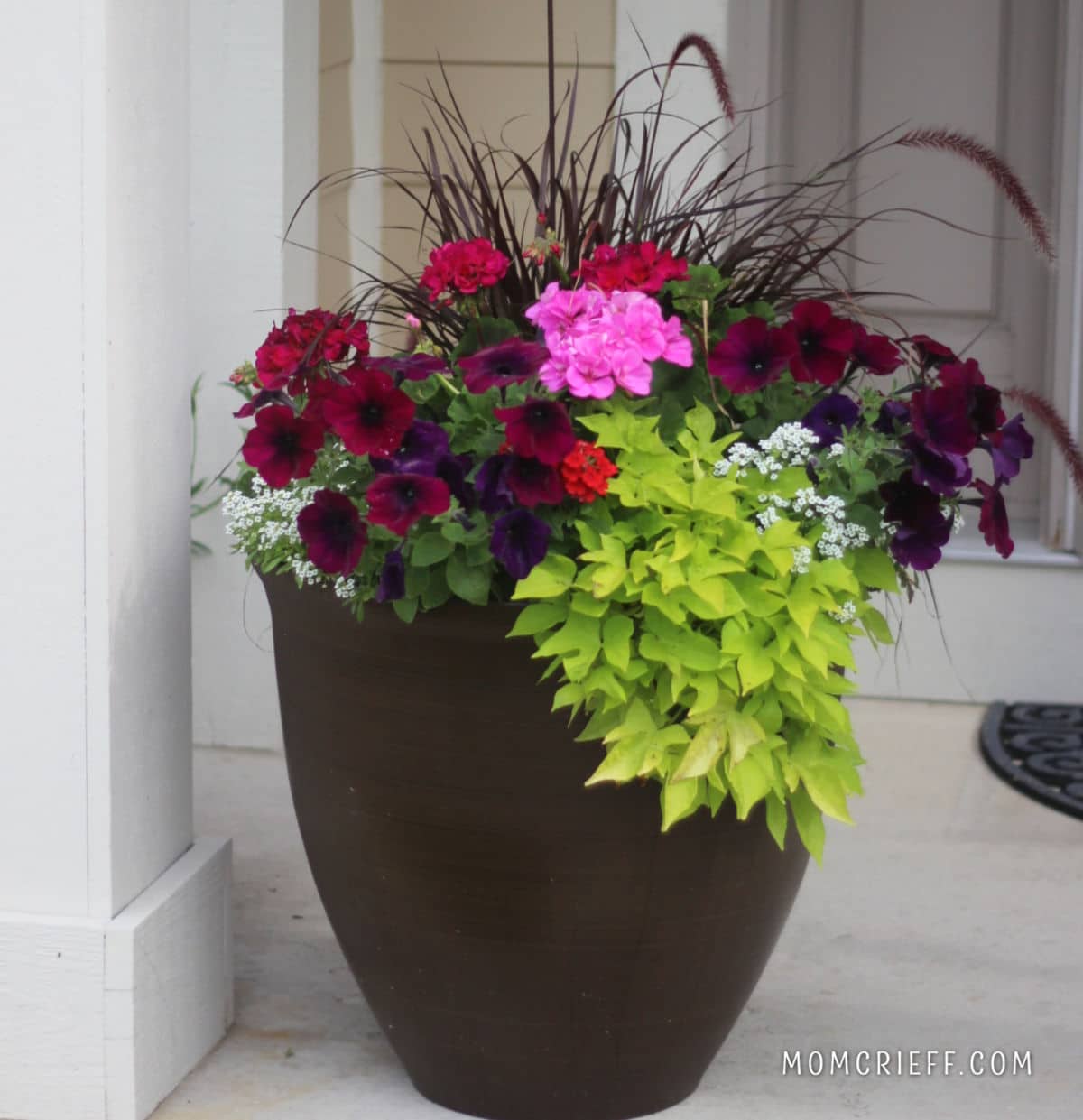 front door planter with pink petunias, reddish geraniums, spikey grasses and bright green sweet potato vine