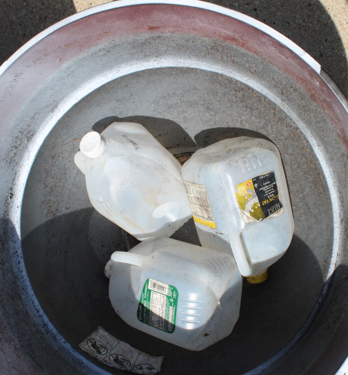 Using plastic milk containers to fill planters