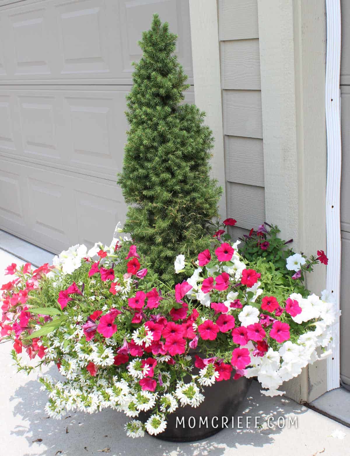 close up of a planteront of a garage with a small tree and petunias surrounding it. 
