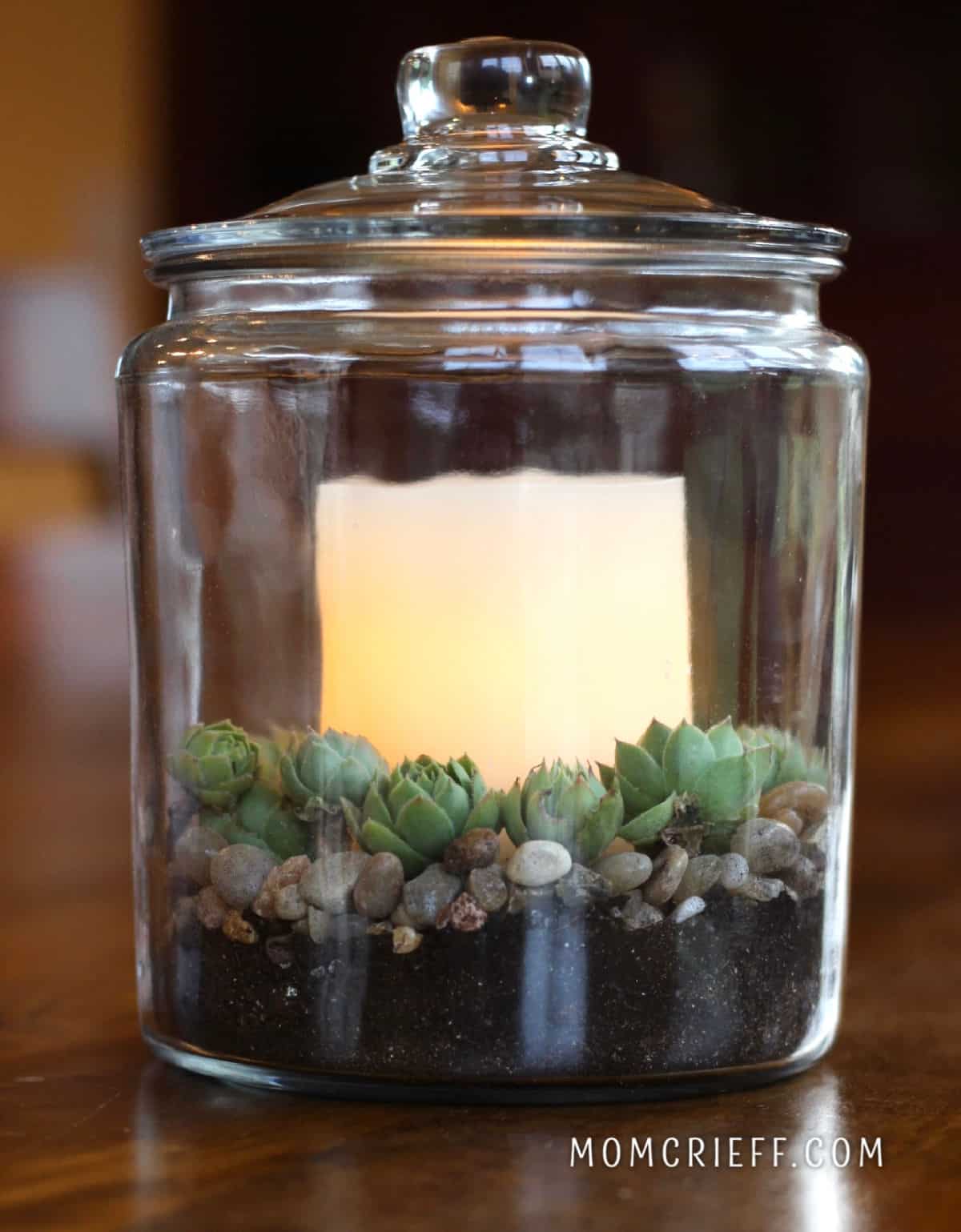 a flameless candle surrounded by hens and chicks in a large glass container