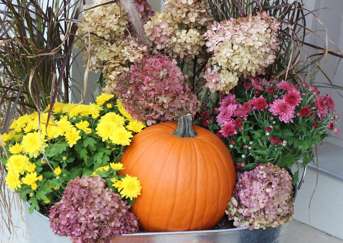 Front porch fall planter with purple fountain grass, orange pumpkin, and small mums in galvanized container.