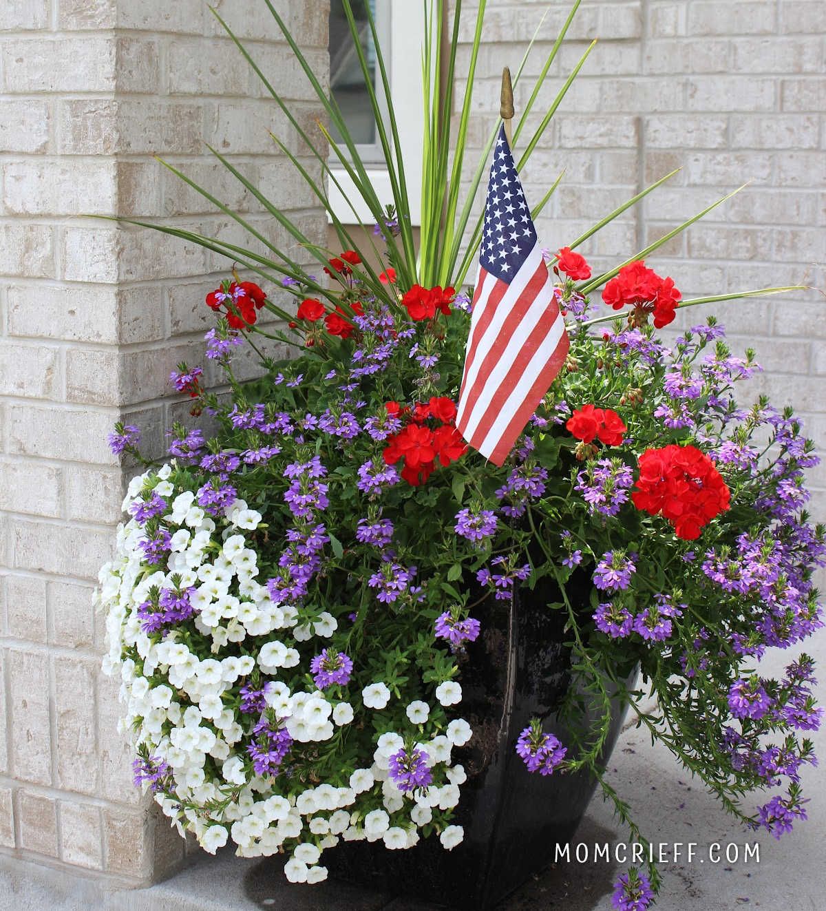 red geraniums anchoring the red white and blue themed planter