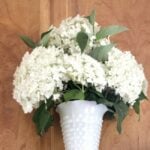 hydrangeas in milkglass vase