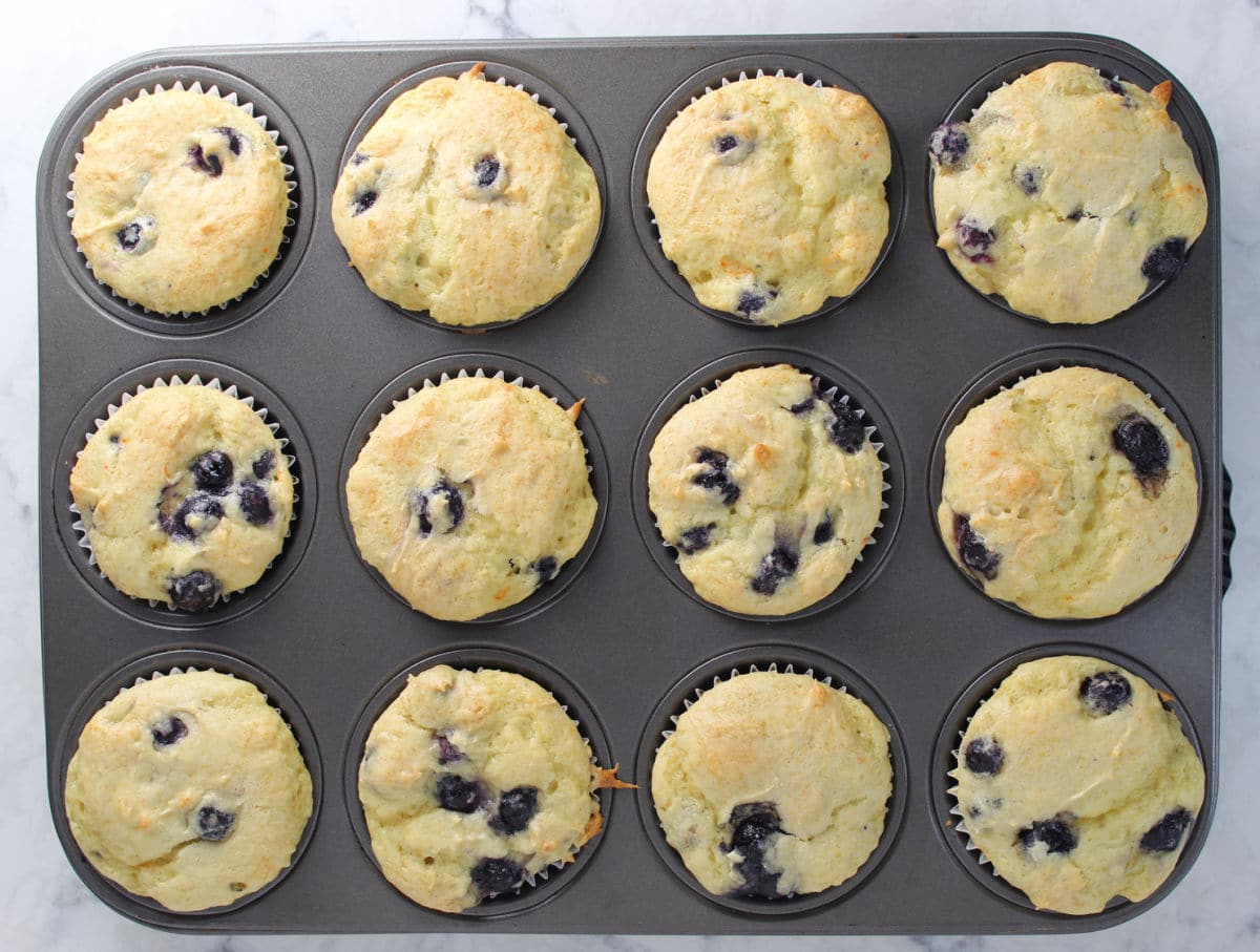 Freshly baked blueberry yogurt muffins in muffin tin.