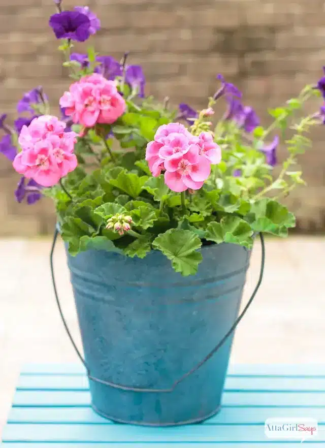 color stained garden planter