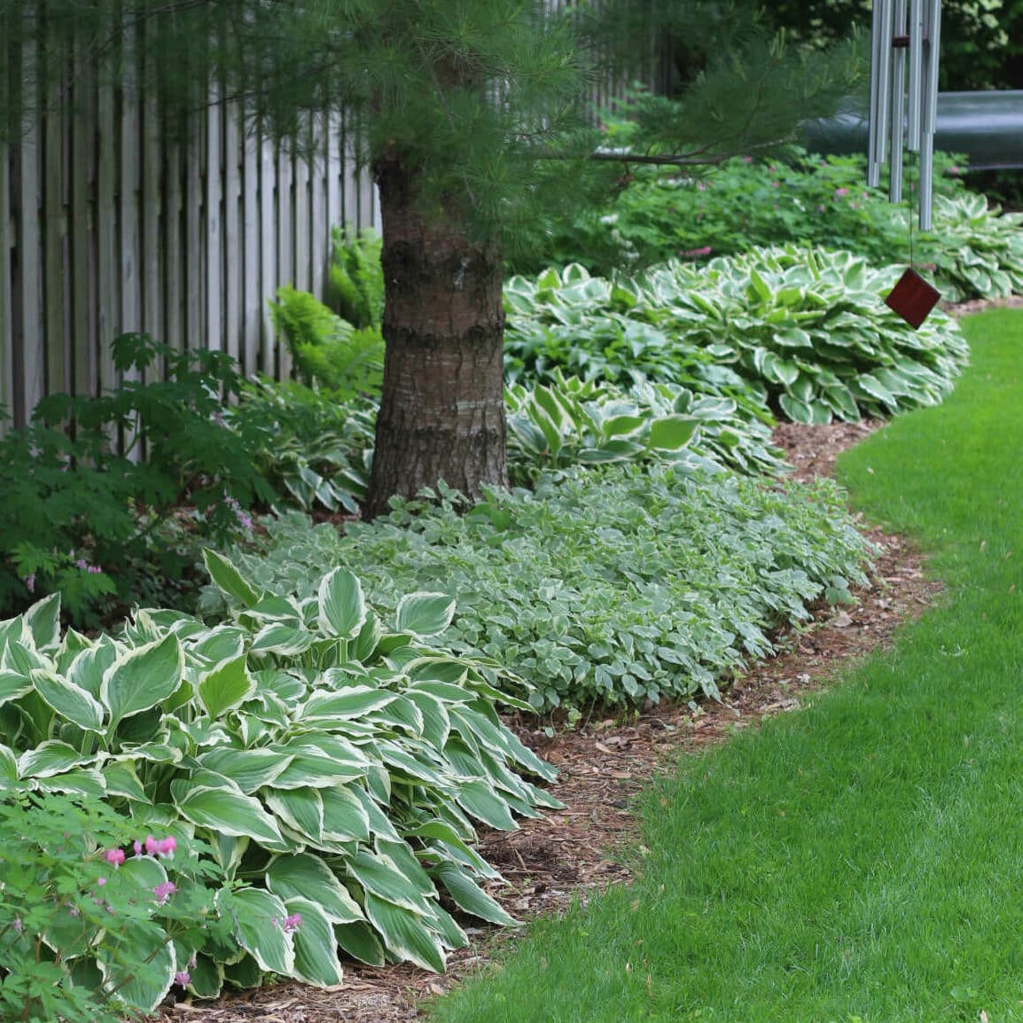 shade garden lining the side of a yard with variegated plantings