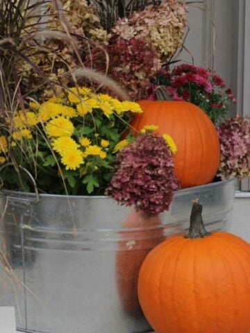 fall planter with tall grass, pumpkin, and mums.