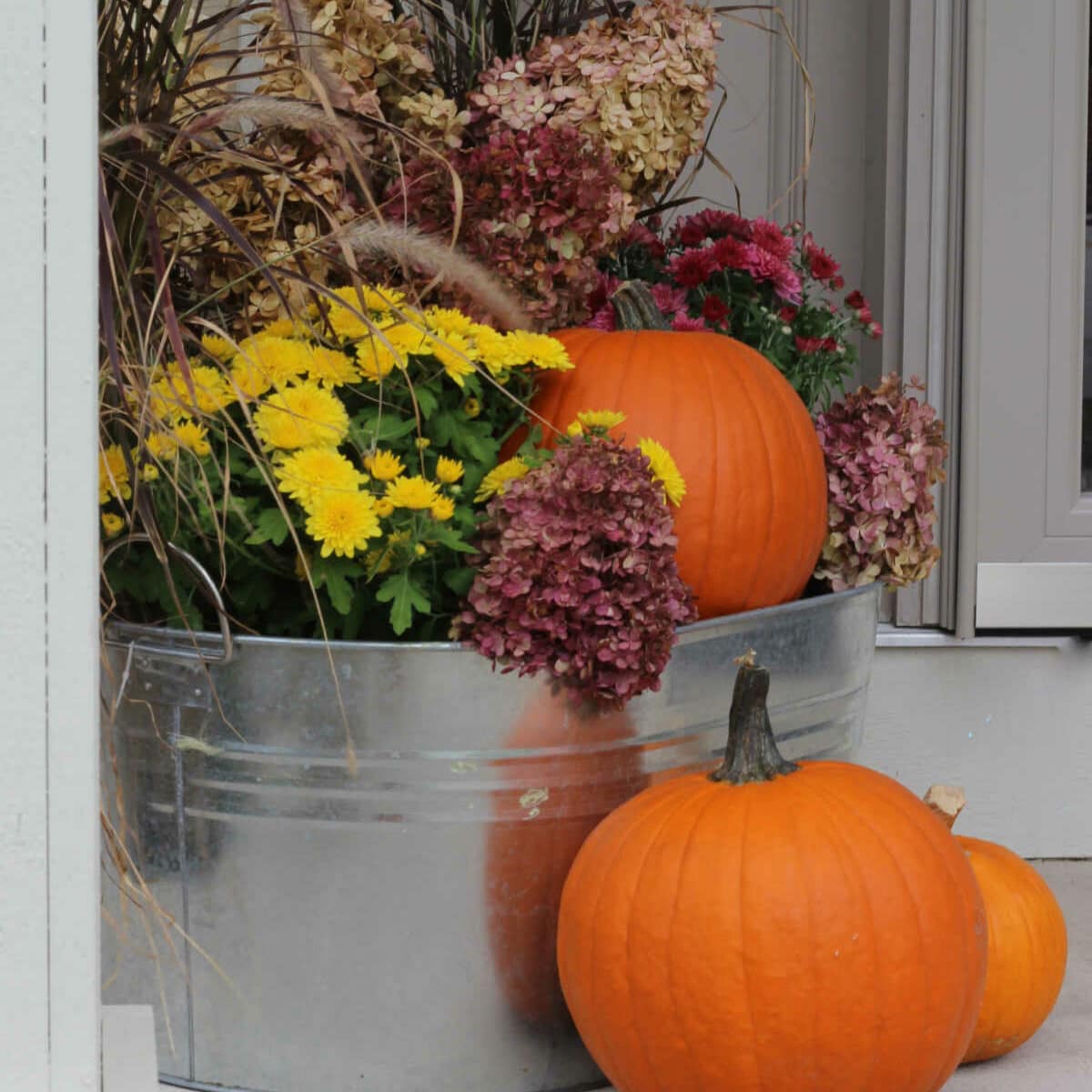 fall planter with tall grass, pumpkin, and mums.