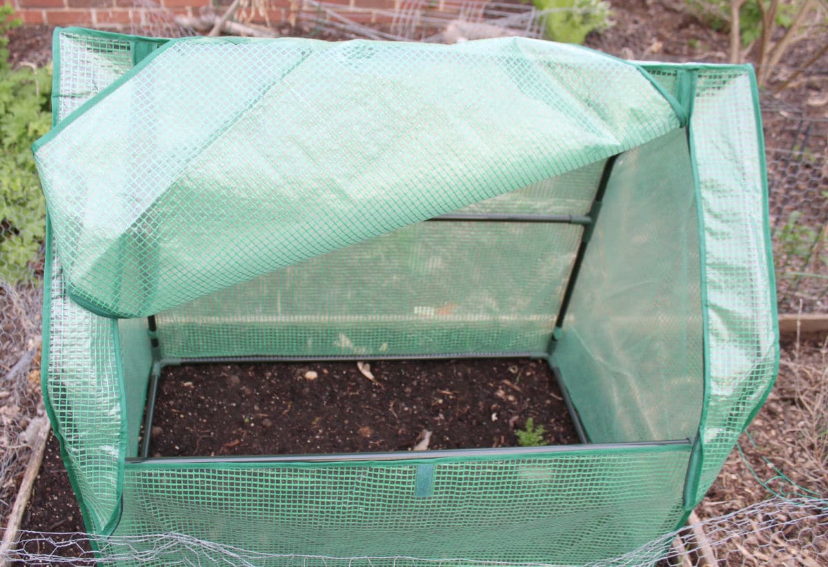 mini greenhouse on a raised garden bed