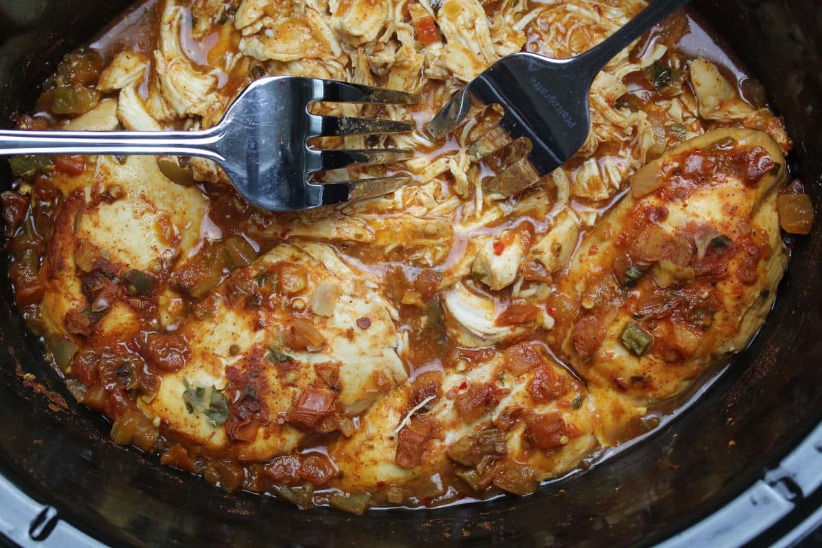 Cooked chicken being shredded.