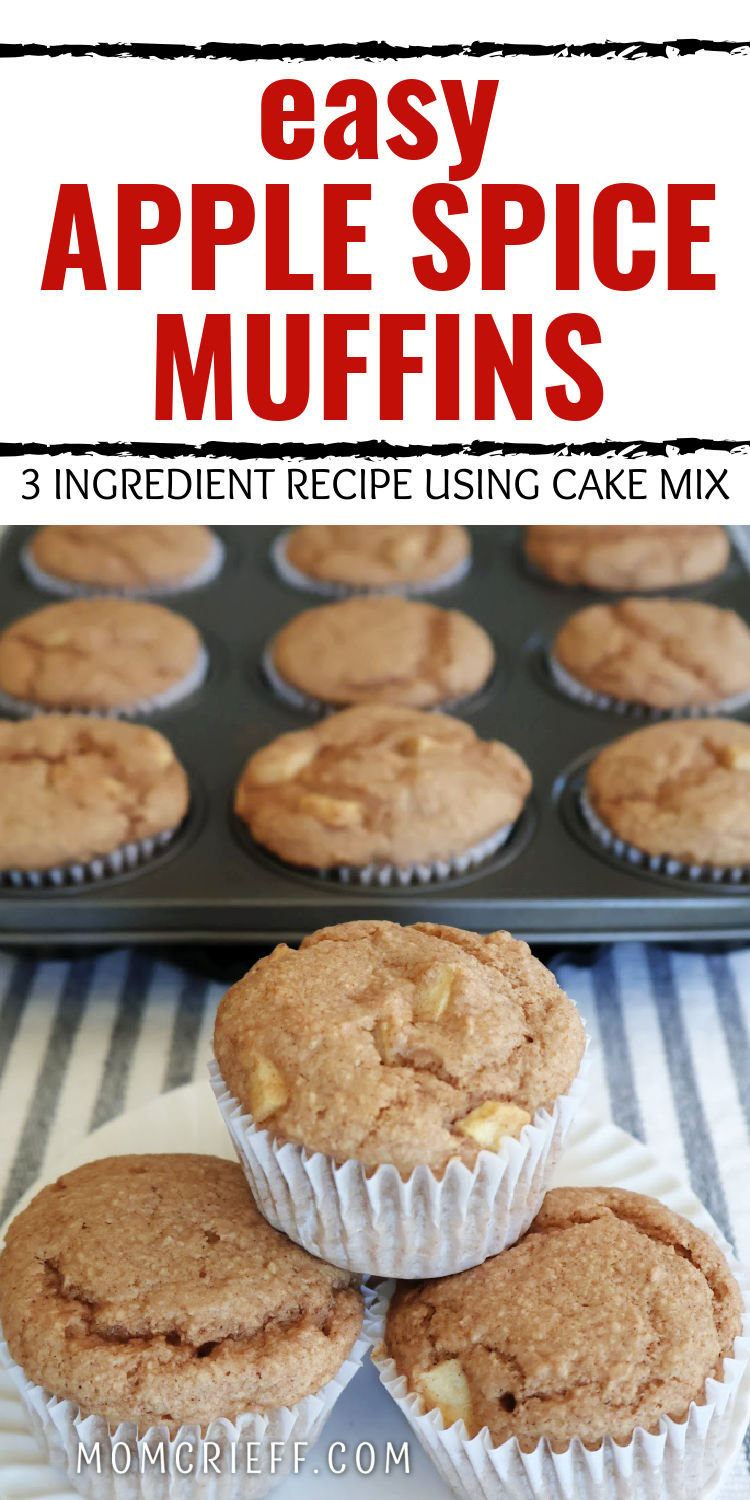 Apple Spice Muffins - 3 Ingredients - Momcrieff