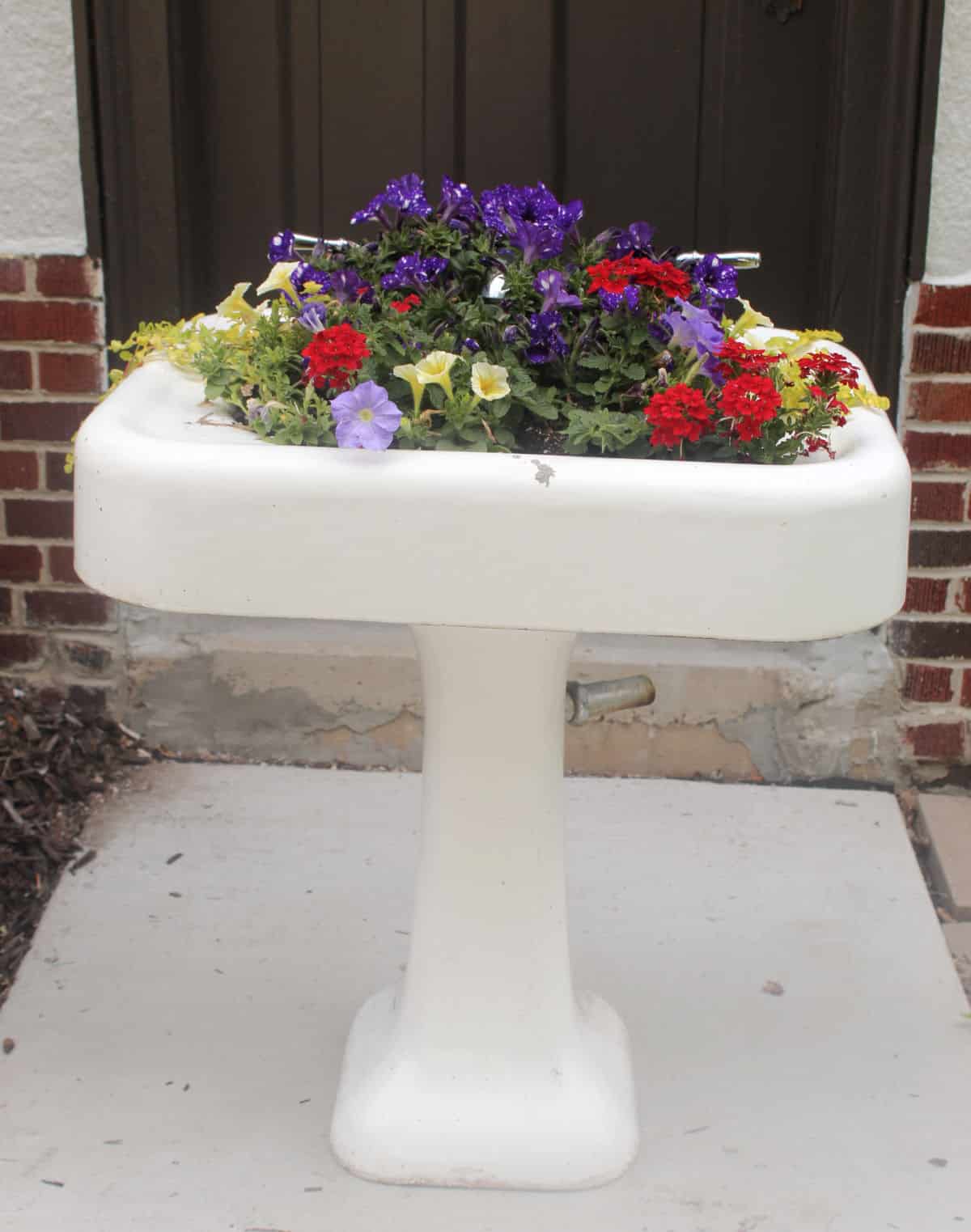 Antique white sink holding colorful flowering plants.