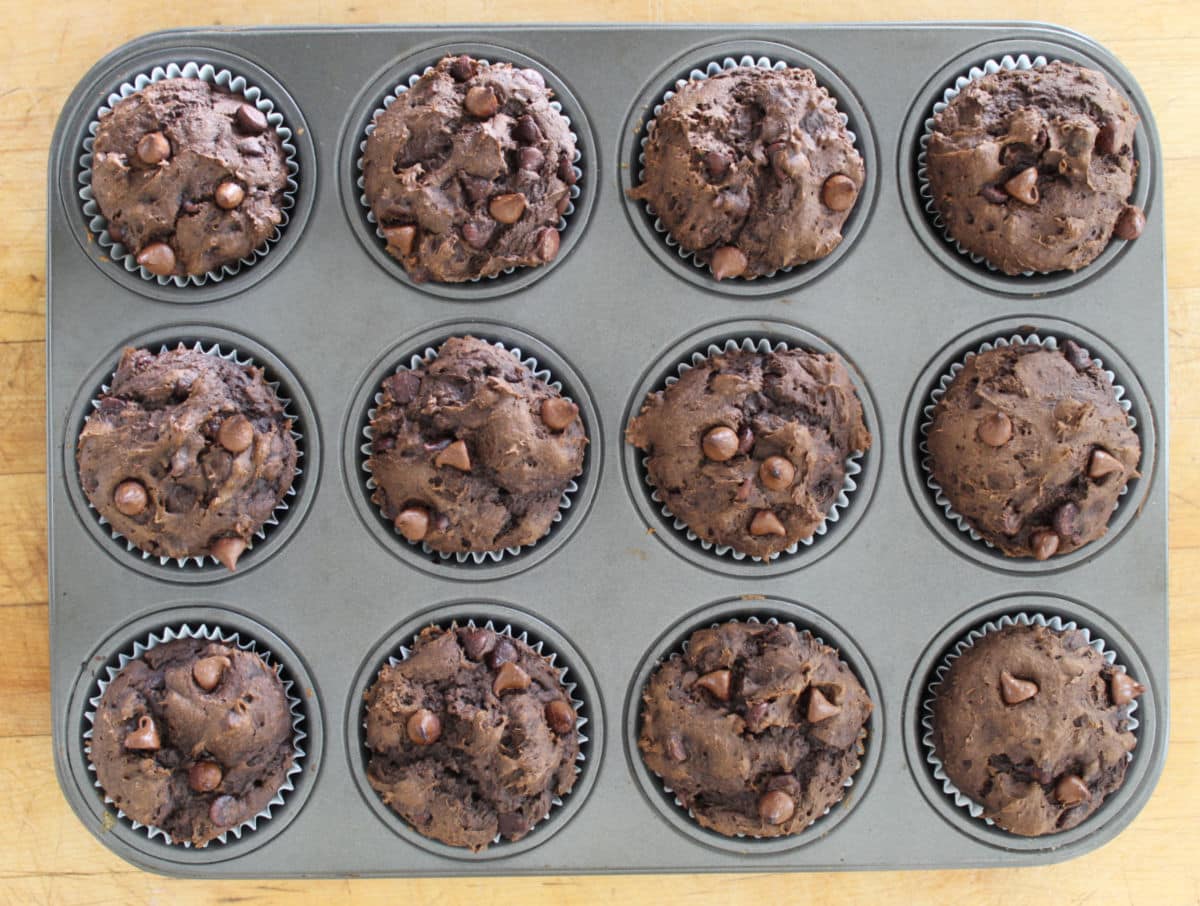 A dozen freshly baked chocolate chip pumpkin muffins in a muffin tin.