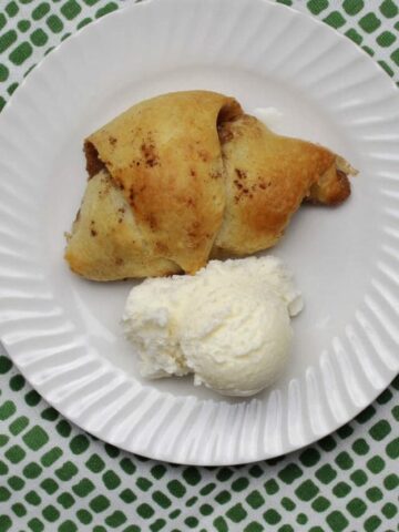 apple bite (crescent roll wrapped around a slice of apple) sprinkled with cinnamon and served with a scoop of ice cream.