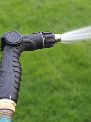 watering-nozzle