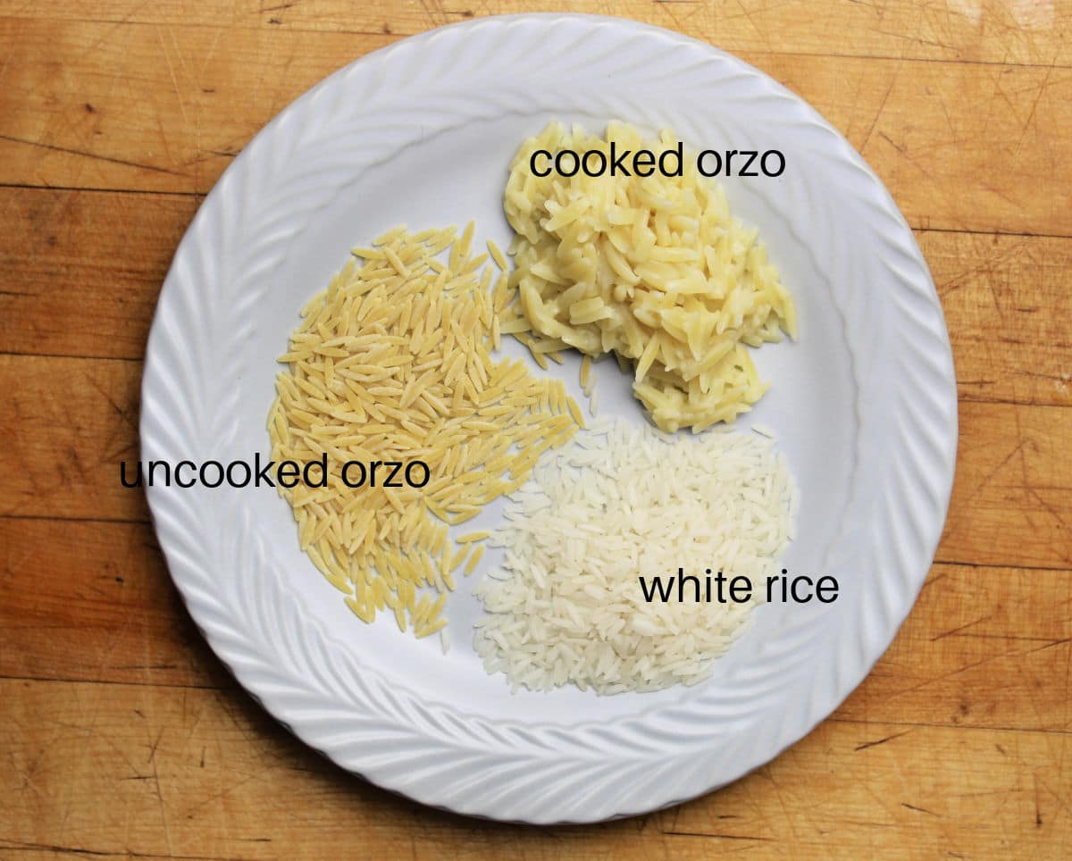 A plate showing samples to show the difference between uncooked orzo, cooked orzo and rice.