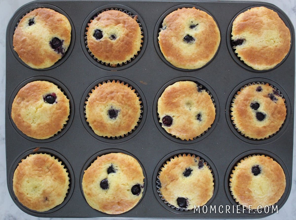 a dozen blueberries freshly baked in a muffin tin.