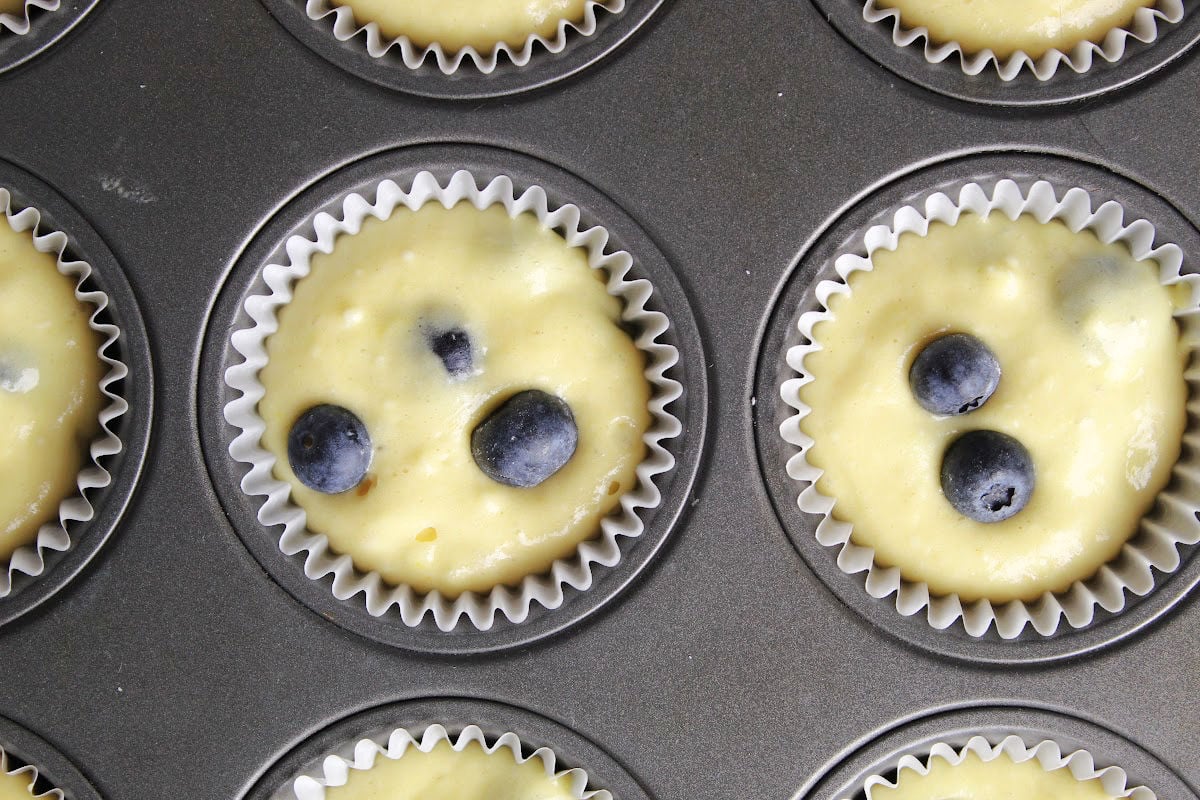 Blueberry muffin dough in muffin baking tin.  Muffin batter is topped with 2 blueberries each.