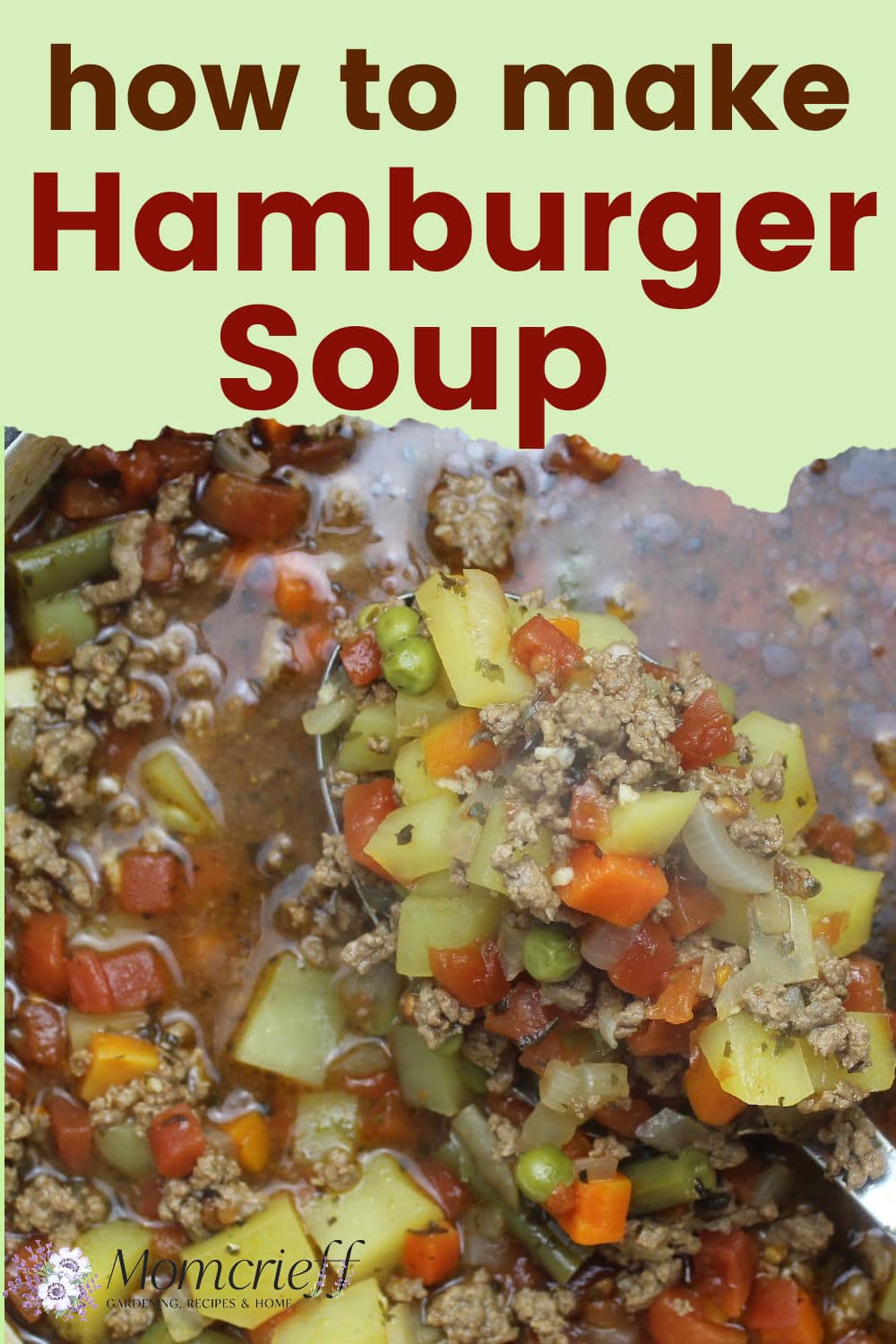closeup of hamburger soup.