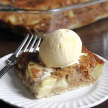 An apple bar on a white plate with a scoop of ice cream on top.