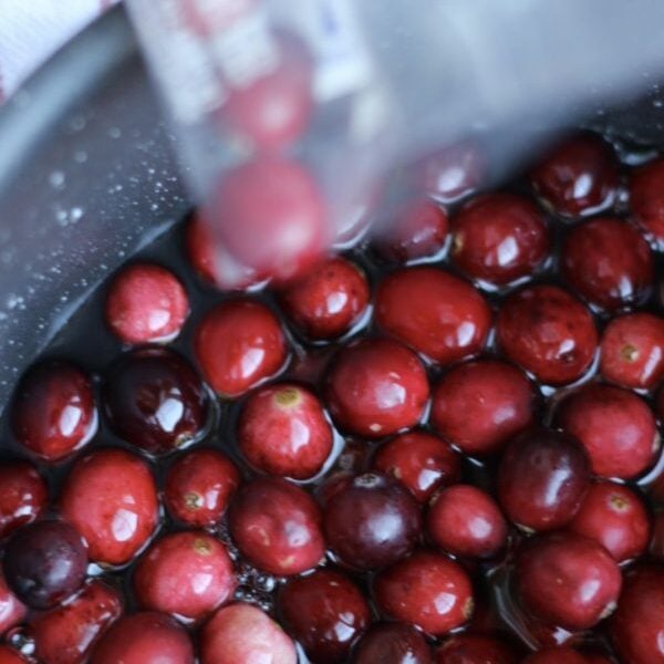 Fresh cranberries poured into a pot with water