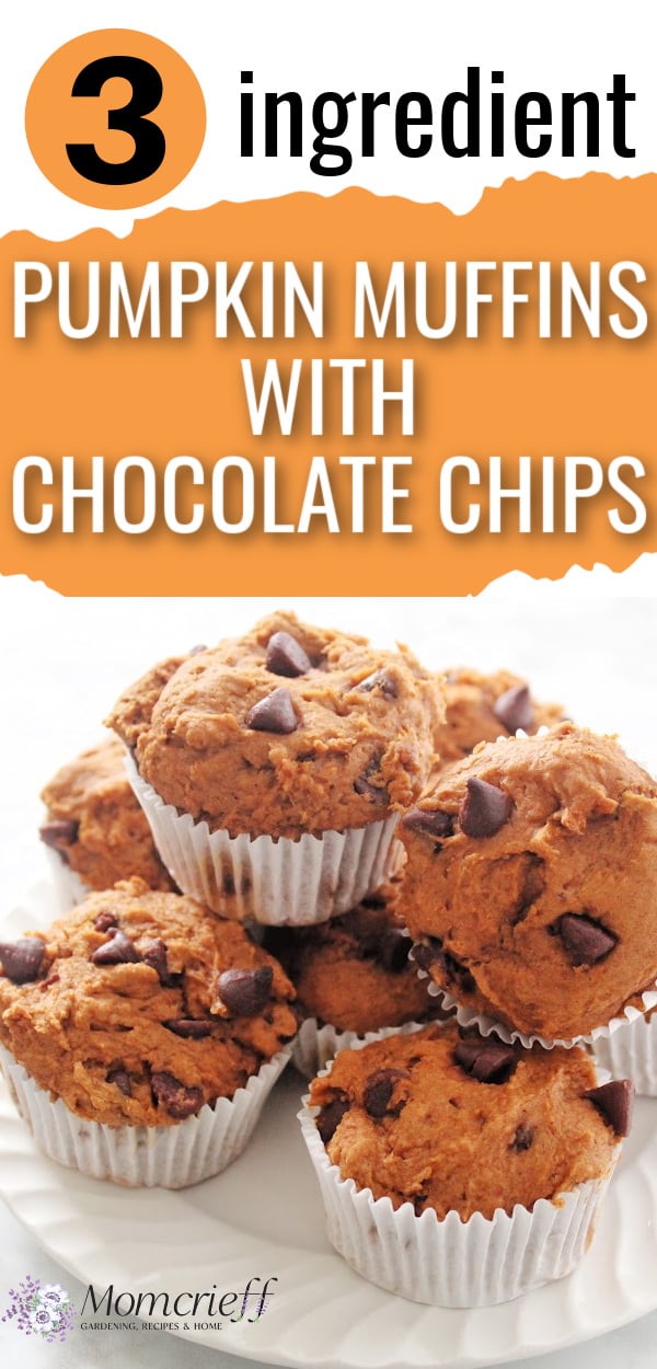 Pumpkin spice muffins with chocolate chips piled on a white plate. Text states 3 ingredient pumpkin muffins with chocolate chips.