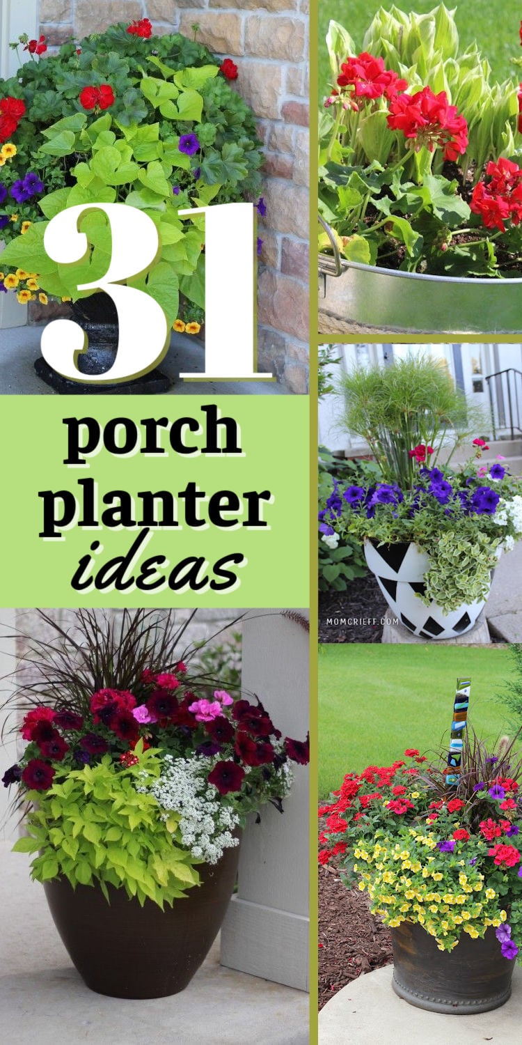 31 Outdoor Planter Ideas That Will Brighten Your Porch or Patio - Momcrieff