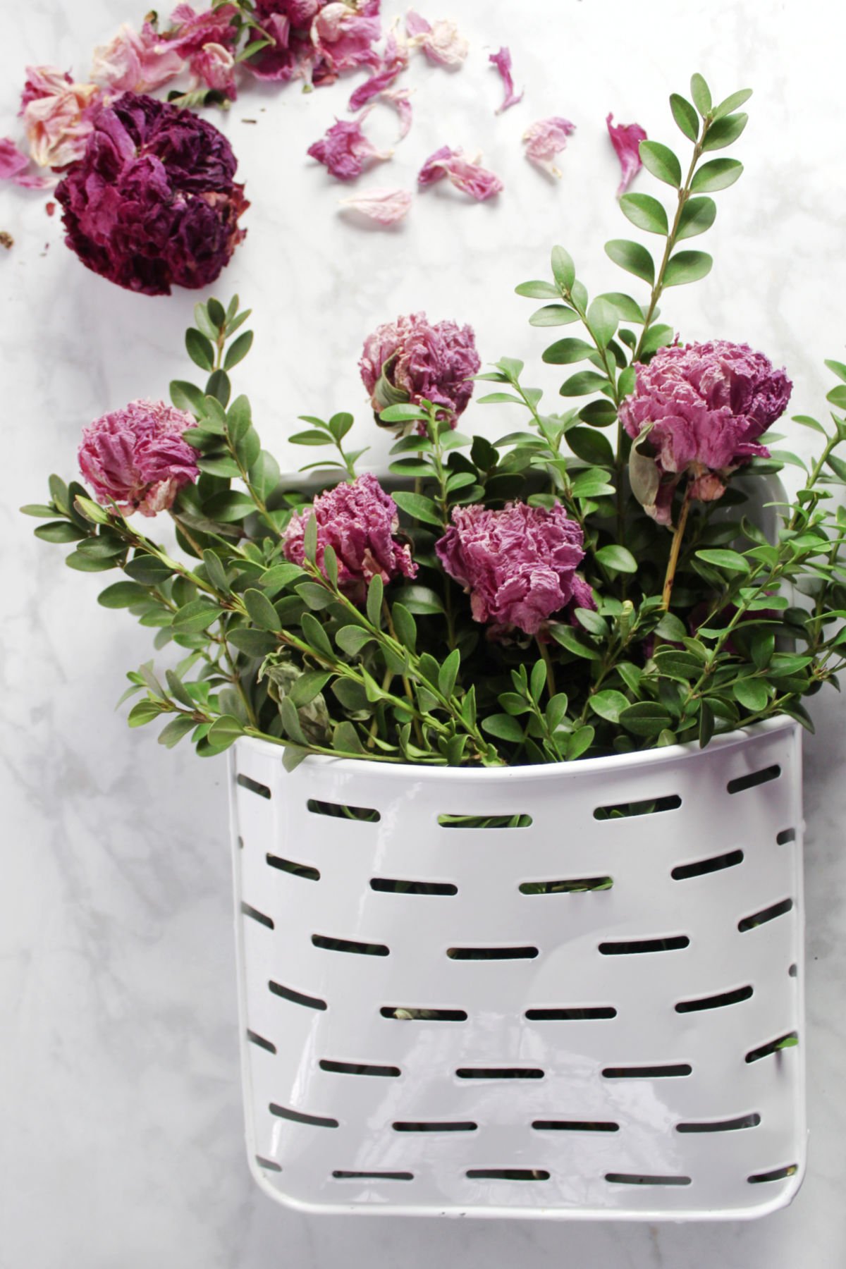 dried pink peonies with fresh boxwood sprigs in a white metal wall pocket.