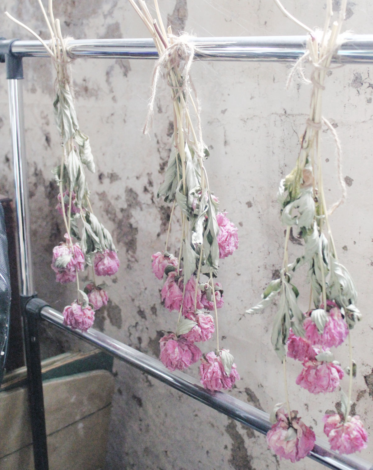 Three bouquets of peonies hanging upside down from a pole.